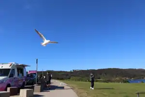 2025-06-22 La Perouse - IMG_2715_compressed_q50.webp